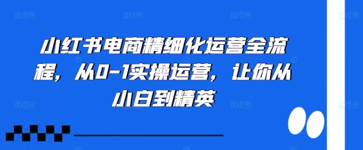 小红书电商精细化运营全流程，从0-1实操运营，让你从小白到精英 - 淘客掘金网-淘客掘金网