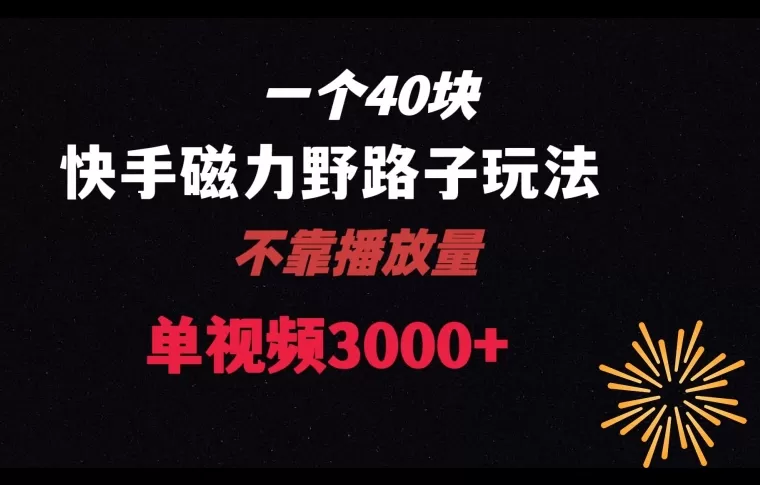 一个40块，快手联合美团磁力新玩法，无视机制野路子玩法，单视频收益4位数【揭秘】 - 淘客掘金网-淘客掘金网