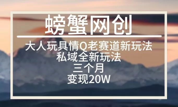 大人玩具情Q用品赛道私域全新玩法，三个月变现20W，老项目新思路 - 淘客掘金网-淘客掘金网