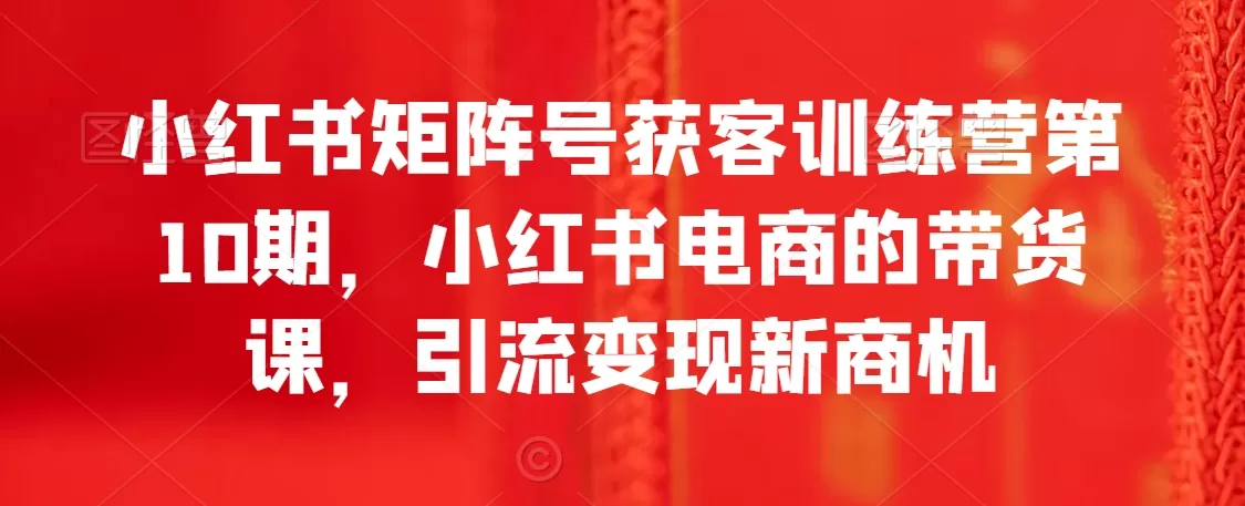 小红书矩阵号获客训练营第10期，小红书电商的带货课，引流变现新商机 - 淘客掘金网-淘客掘金网