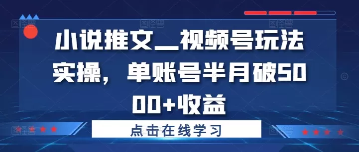 小说推文—视频号玩法实操，单账号半月破5000+收益 - 淘客掘金网-淘客掘金网