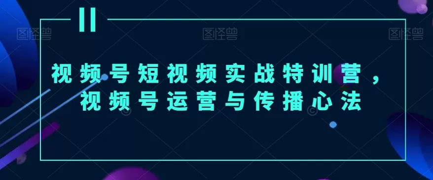 视频号短视频实战特训营，视频号运营与传播心法 - 淘客掘金网-淘客掘金网