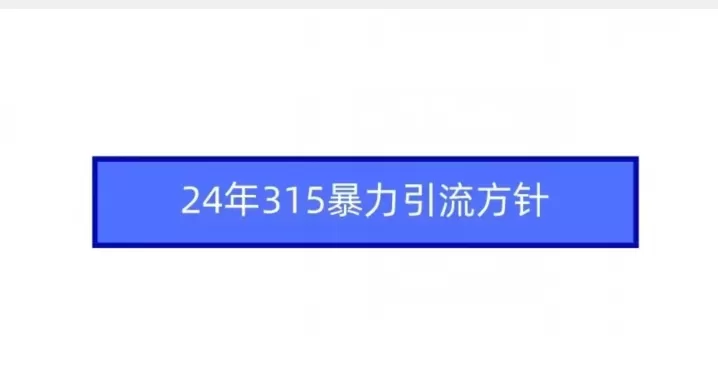 24年315暴力引流方针 - 淘客掘金网-淘客掘金网