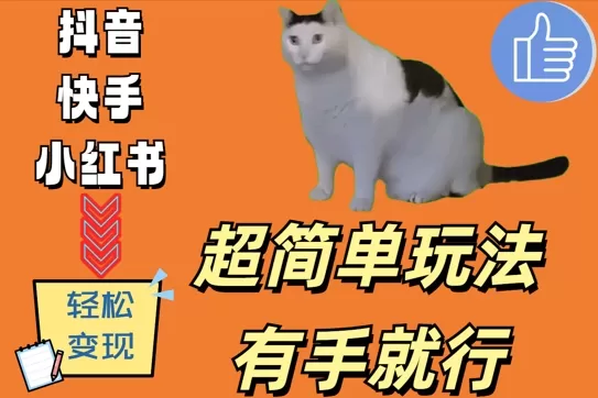 超简单玩法，有手就行，靠猫咪视频日入500+ - 淘客掘金网-淘客掘金网