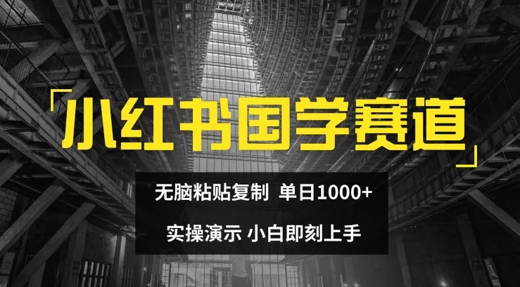 小红书国学赛道，无脑粘贴复制，单日1K，实操演示，小白即刻上手 - 淘客掘金网-淘客掘金网