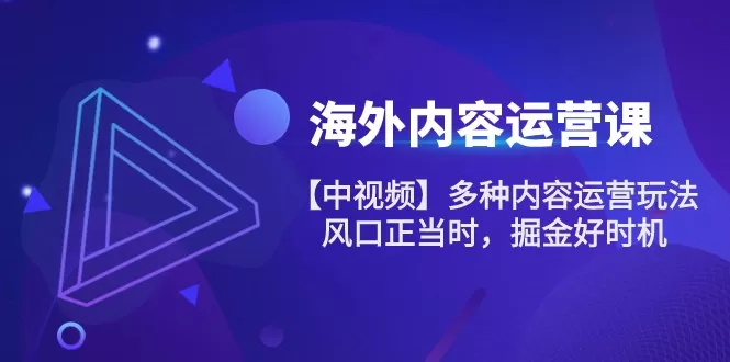 海外内容运营课【中视频】多种内容运营玩法 风口正当时 掘金好时机（101节） - 淘客掘金网-淘客掘金网