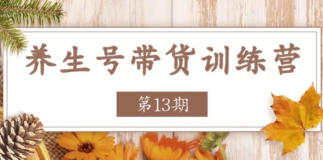 养生号带货训练营【第13期】收益更稳定的玩法，让你带货收益爆炸 - 淘客掘金网-淘客掘金网