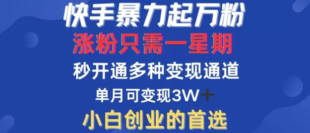 快手暴力起万粉，涨粉只需一星期，多种变现模式，直接秒开万合，单月变现过W - 淘客掘金网-淘客掘金网