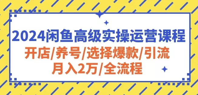 2024闲鱼高级实操运营课程：开店/养号/选择爆款/引流/月入2万/全流程 - 淘客掘金网-淘客掘金网