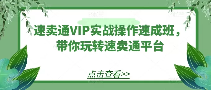 速卖通VIP实战操作速成班，带你玩转速卖通平台 - 淘客掘金网-淘客掘金网