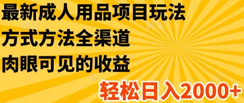 最新成人用品项目玩法，方式方法全渠道，轻松日入2K+ - 淘客掘金网-淘客掘金网