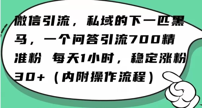 怎么搞精准创业粉？微信新赛道，每天一小时，利用Ai一个问答日引100精准粉 - 淘客掘金网-淘客掘金网