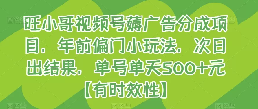 旺小哥视频号薅广告分成项目，年前偏门小玩法，次日出结果，单号单天500+元【有时效性】 - 淘客掘金网-淘客掘金网