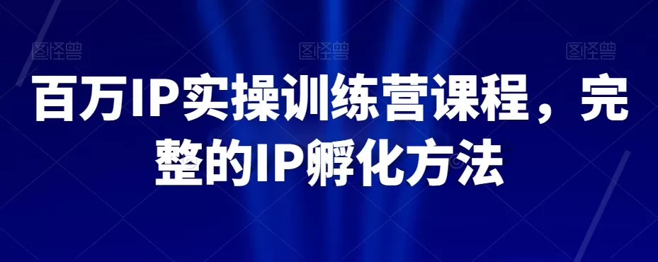 百万IP实操训练营课程，完整的IP孵化方法 - 淘客掘金网-淘客掘金网