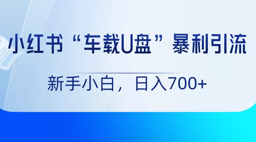 小红书“车载U盘”项目，暴利引流，新手小白轻松日入700+ - 淘客掘金网-淘客掘金网