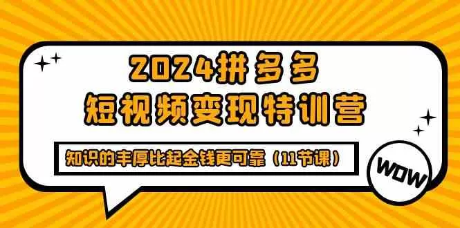 2024拼多多短视频变现特训营，知识的丰厚比起金钱更可靠（11节课） - 淘客掘金网-淘客掘金网