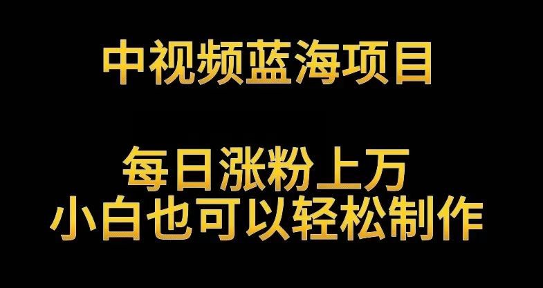 中视频蓝海项目，解读英雄人物生平，每日涨粉上万，小白也可以轻松制作，月入过万不是梦 - 淘客掘金网-淘客掘金网