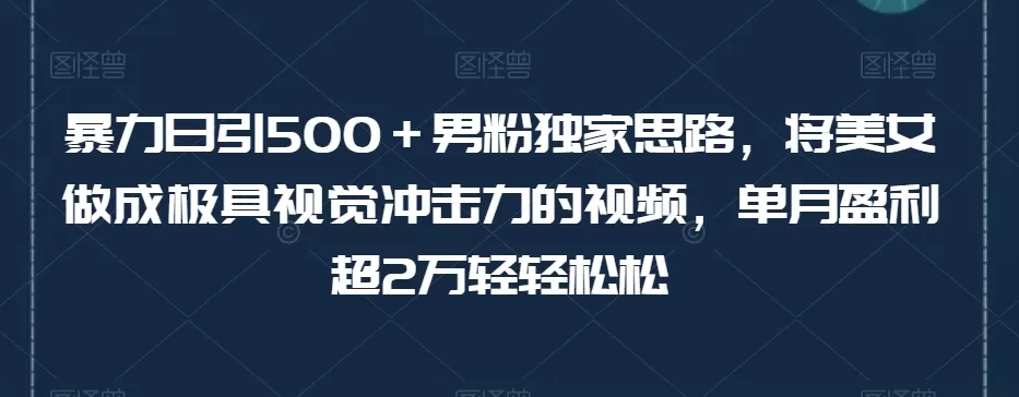 暴力日引500＋男粉独家思路，将美女做成极具视觉冲击力的视频，单月盈利超2万轻轻松松 - 淘客掘金网-淘客掘金网