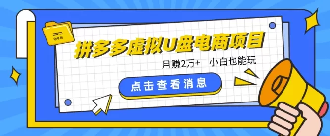 拼多多虚拟U盘电商红利项目：月赚2万+，新手小白也能玩 - 淘客掘金网-淘客掘金网