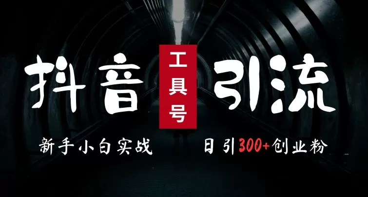 2024最新抖音工具号引流玩法，高效日引300+创业粉，当天变现5k，小白也可成为实战高手 - 淘客掘金网-淘客掘金网