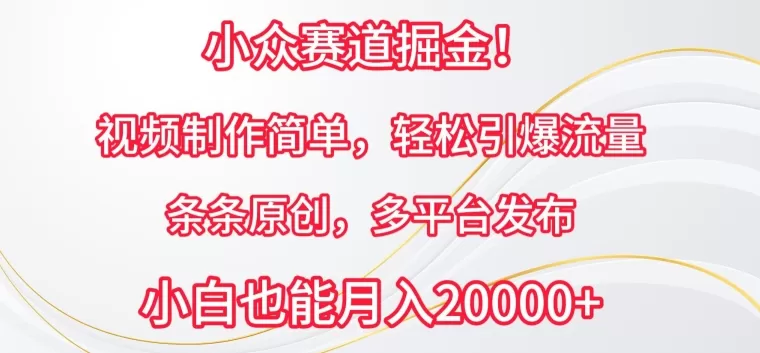 小众赛道掘金，视频制作简单，轻松引爆流量，条条原创，多平台发布 - 淘客掘金网-淘客掘金网