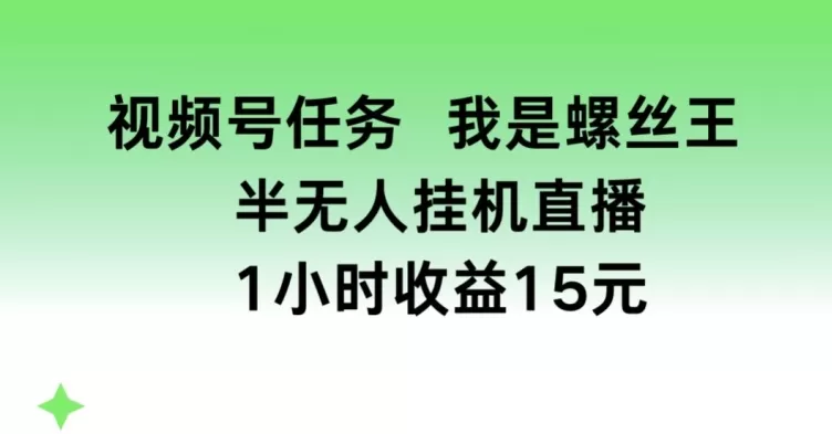 视频号任务，我是螺丝王， 半无人挂机1小时收益15元 - 淘客掘金网-淘客掘金网