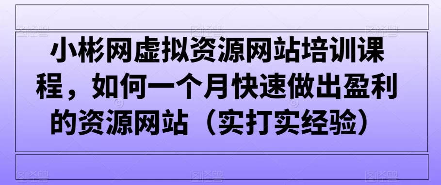 小彬网虚拟资源网站培训课程，如何一个月快速做出盈利的资源网站（实打实经验） - 淘客掘金网-淘客掘金网