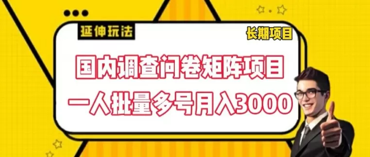 国内调查问卷矩阵项目，一人批量多号月入3000 - 淘客掘金网-淘客掘金网