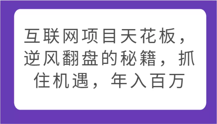 互联网项目天花板，逆风翻盘的秘籍，抓住机遇，年入百万 - 淘客掘金网-淘客掘金网