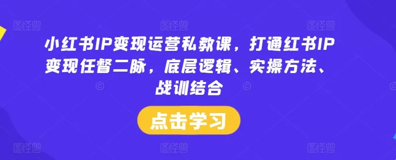 小红书IP变现运营私教课，打通红书IP变现任督二脉，底层逻辑、实操方法、战训结合 - 淘客掘金网-淘客掘金网