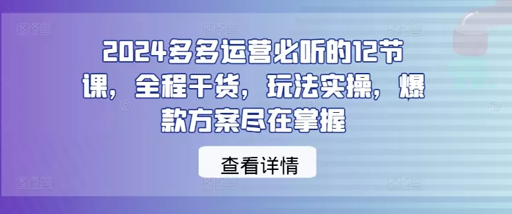 2024多多运营必听的12节课，全程干货，玩法实操，爆款方案尽在掌握 - 淘客掘金网-淘客掘金网