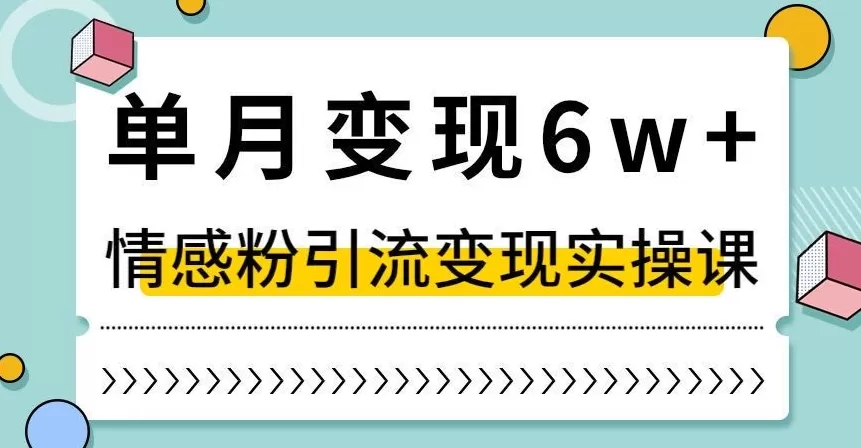 单月变现6W+，抖音情感粉引流变现实操课，小白可做，轻松上手，独家赛道【揭秘】 - 淘客掘金网-淘客掘金网