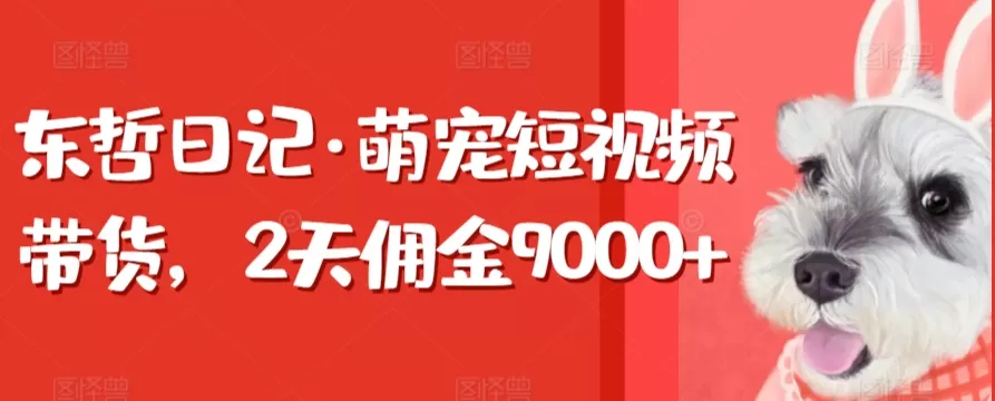 东哲日记·萌宠短视频带货，2天佣金9000+ - 淘客掘金网-淘客掘金网