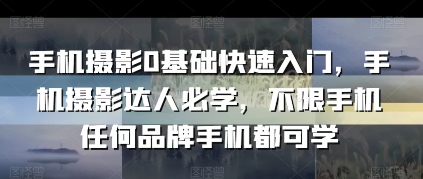 手机摄影0基础快速入门，手机摄影达人必学，不限手机任何品牌手机都可学 - 淘客掘金网-淘客掘金网