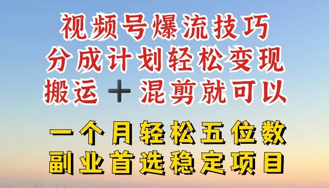 视频号爆流技巧，分成计划轻松变现，搬运 +混剪就可以，一个月轻松五位数稳定项目 - 淘客掘金网-淘客掘金网