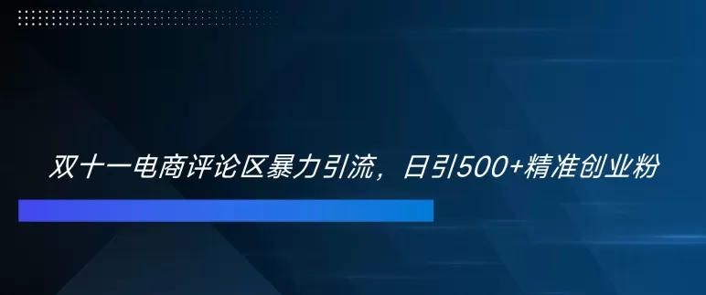 双十一电商评论区暴力引流，日引500+精准创业粉 - 淘客掘金网-淘客掘金网