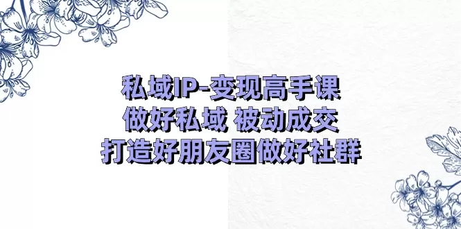 私域IP变现高手课：做好私域被动成交，打造好朋友圈做好社群（18节） - 淘客掘金网-淘客掘金网