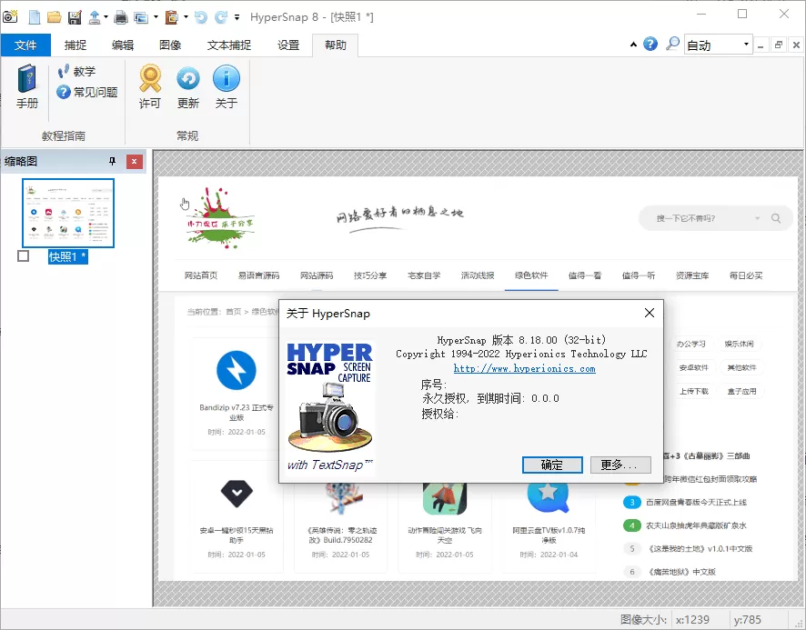 HyperSnap v9.5.00便携汉化版 - 淘客掘金网-淘客掘金网