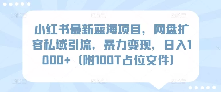 小红书最新蓝海项目，网盘扩容私域引流，暴力变现，日入1000+（附100T占位文件） - 淘客掘金网-淘客掘金网