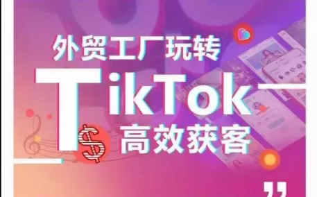 外贸工厂玩转TikTok高效获客，多种引流方式与账号定位技巧，拆解爆款短视频打造成功案例 - 淘客掘金网-淘客掘金网