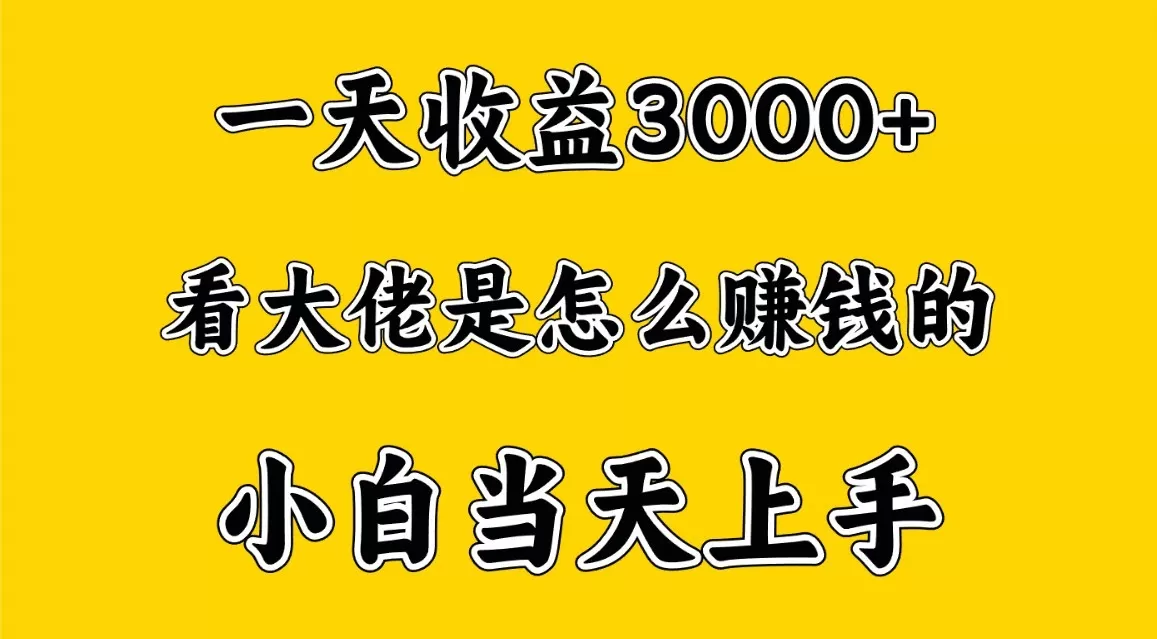 一天赚3000多，大佬是这样赚到钱的，小白当天上手，穷人翻身项目 - 淘客掘金网-淘客掘金网