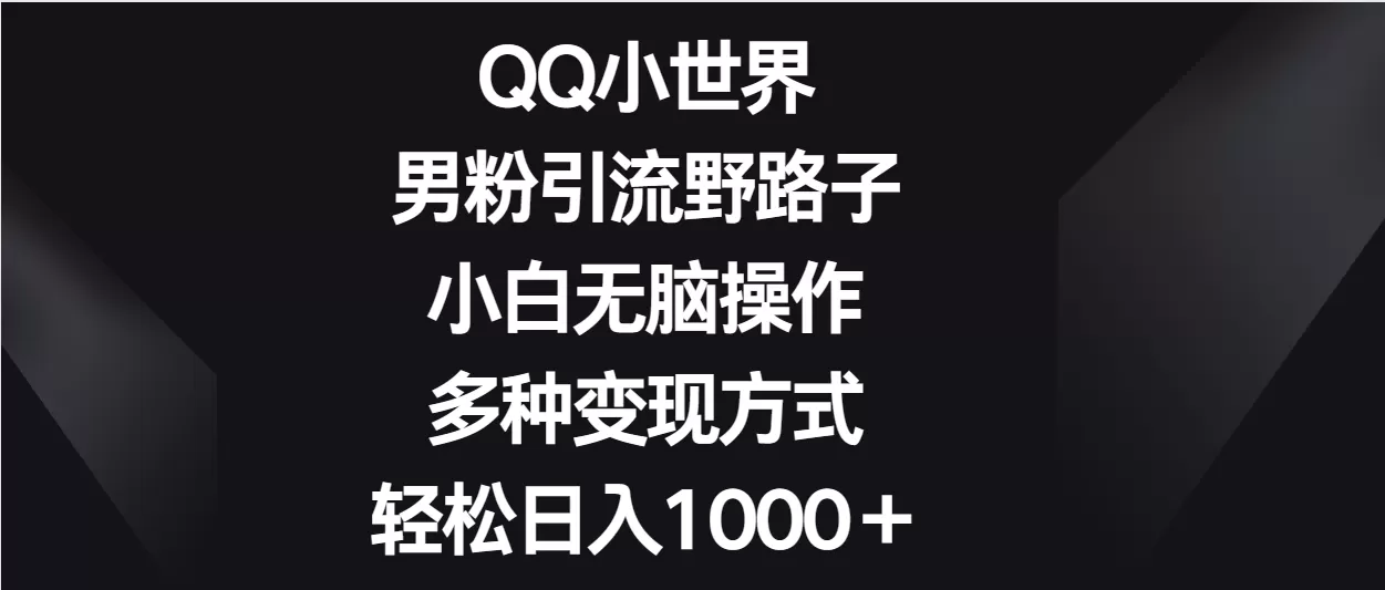 QQ小世界男粉引流野路子，小白无脑操作，多种变现方式轻松日入1000＋ - 淘客掘金网-淘客掘金网