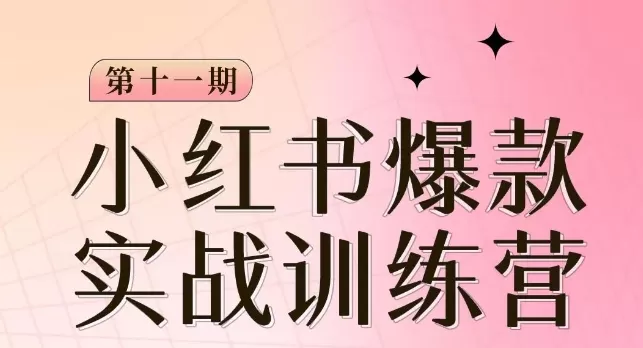 小红书博主爆款训练营第11期，手把手教你从0-1做小红书，从定位到起号到变现 - 淘客掘金网-淘客掘金网