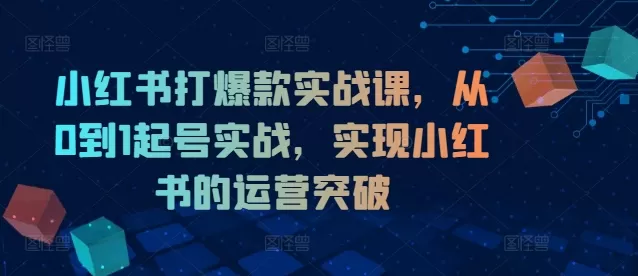 小红书打爆款实战课，从0到1起号实战，实现小红书的运营突破 - 淘客掘金网-淘客掘金网