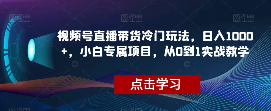 视频号直播带货冷门玩法，日入1000+，小白专属项目，从0到1实战教学【揭秘】 - 淘客掘金网-淘客掘金网