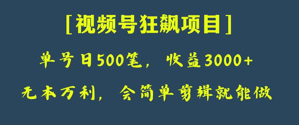 日收款500笔，纯利润3000+，视频号狂飙项目！ - 淘客掘金网-淘客掘金网