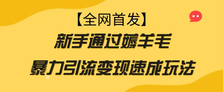 【全网首发】新手通过薅羊毛暴力引流变现速成玩法 - 淘客掘金网-淘客掘金网