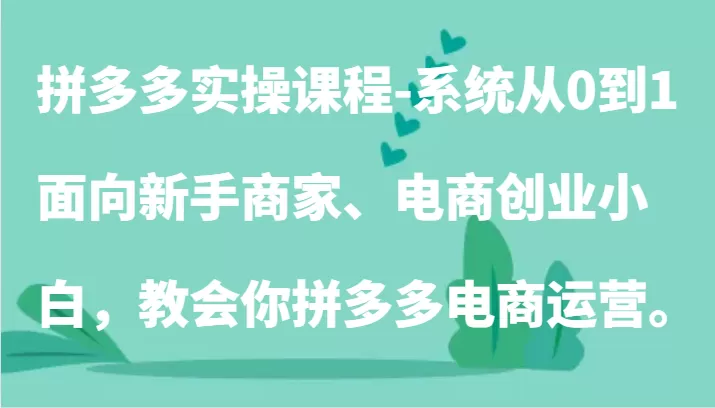 拼多多实操课程-系统从0到1，面向新手商家、电商创业小白，教会你拼多多电商运营。 - 淘客掘金网-淘客掘金网