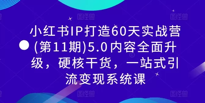 小红书IP打造60天实战营(第11期)5.0​内容全面升级，硬核干货，一站式引流变现系统课 - 淘客掘金网-淘客掘金网