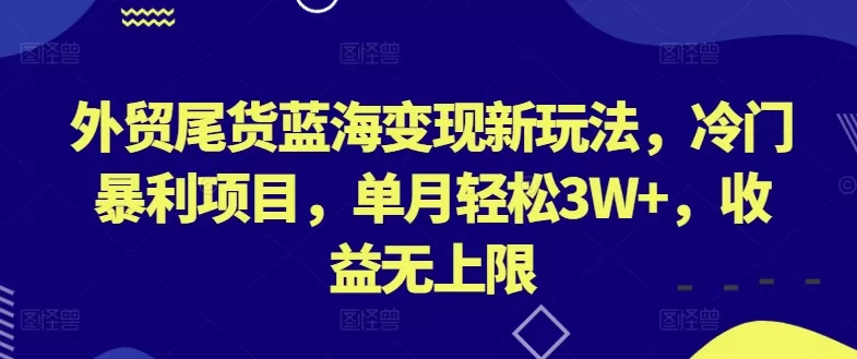 外贸尾货蓝海变现新玩法，冷门暴利项目，单月轻松3W+，收益无上限 - 淘客掘金网-淘客掘金网